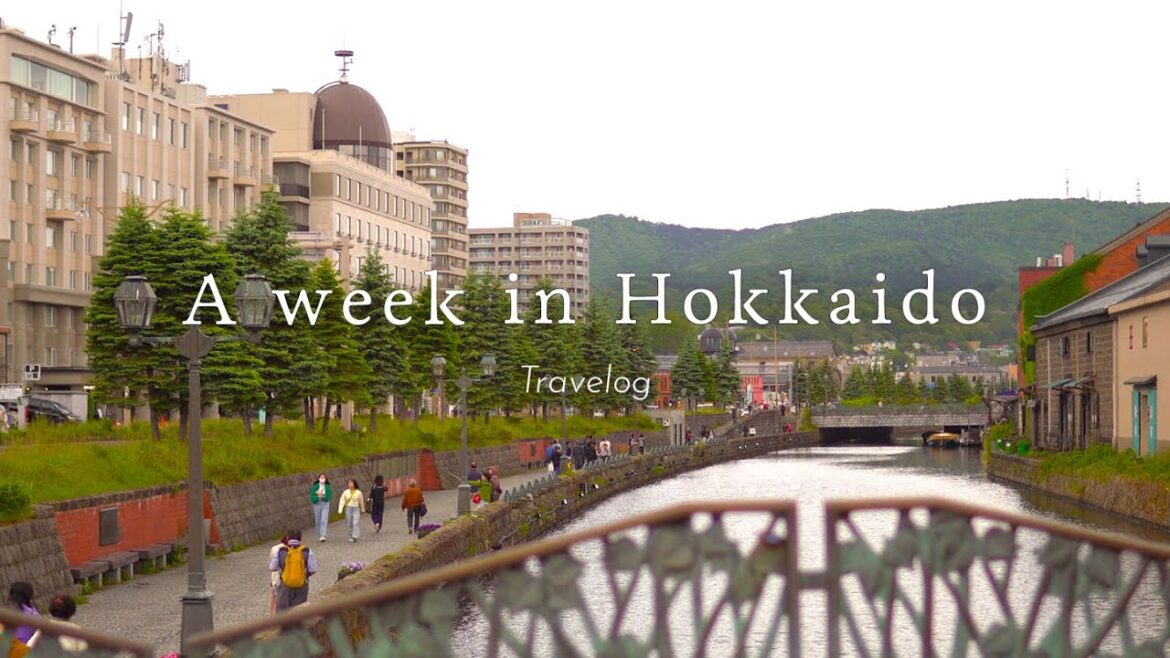 🇯🇵 A dreamlike holiday in the countryside of Japan, Hokkaido ⛰️
