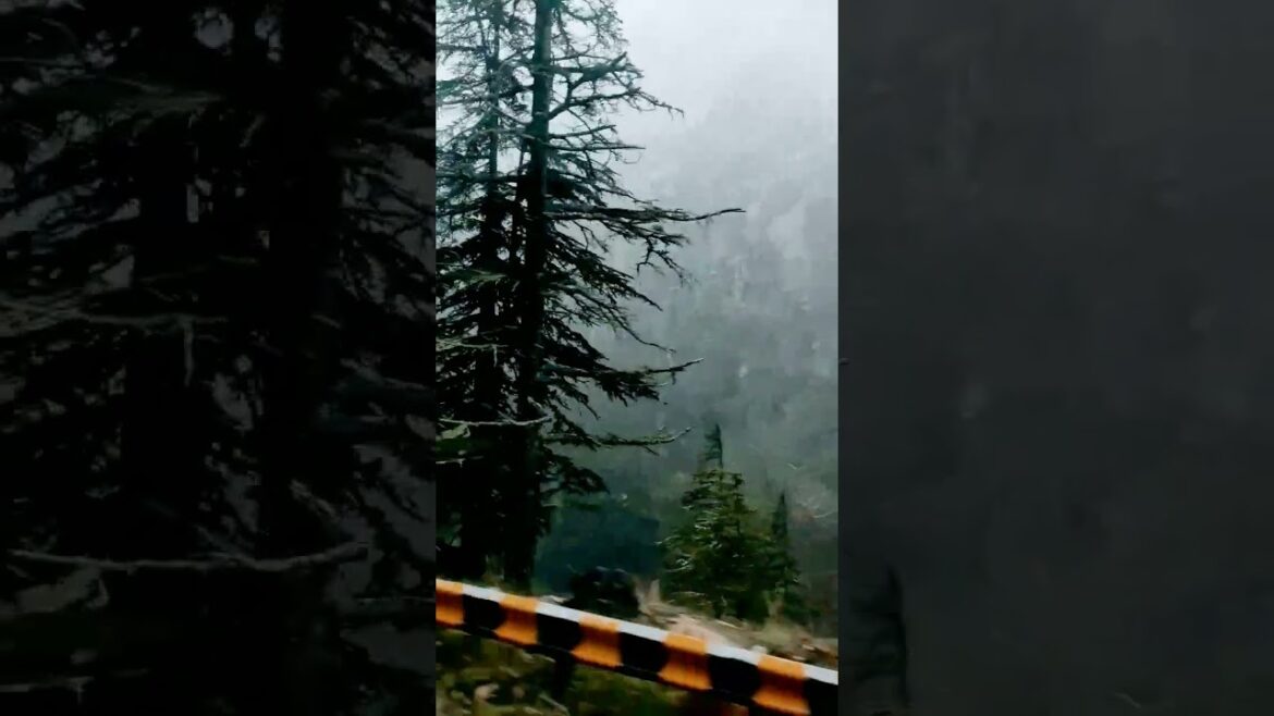 Snowfall Begins | Nice View | Chilled #shorts #youtubeshorts