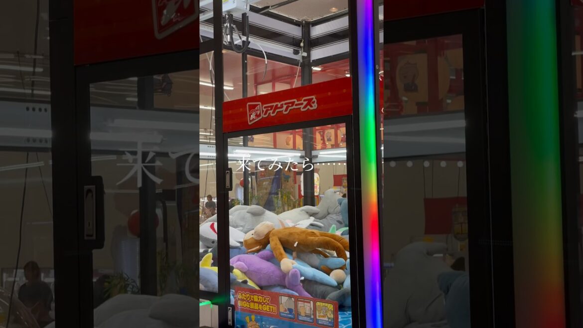 ゲームセンターに来てみたら「なんだか切ない瞬間がある」取り残された犬と猿に幸あれ #shorts