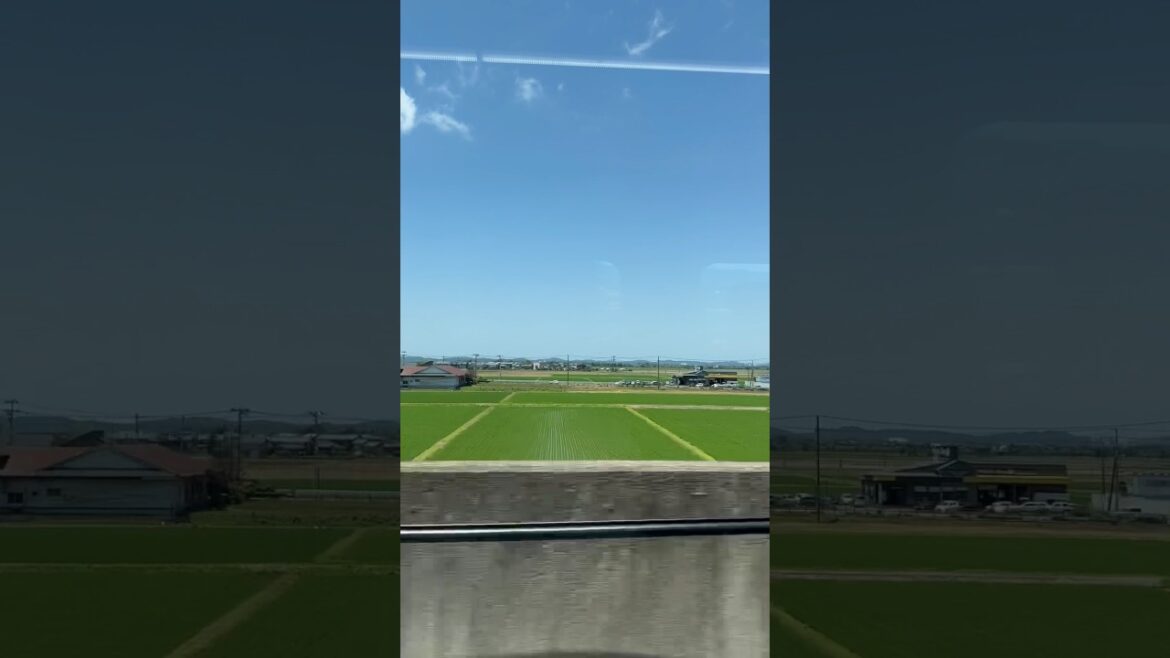 【車窓から景色】【上越新幹線】新潟こそ、こんな綺麗な日本の風景が見える