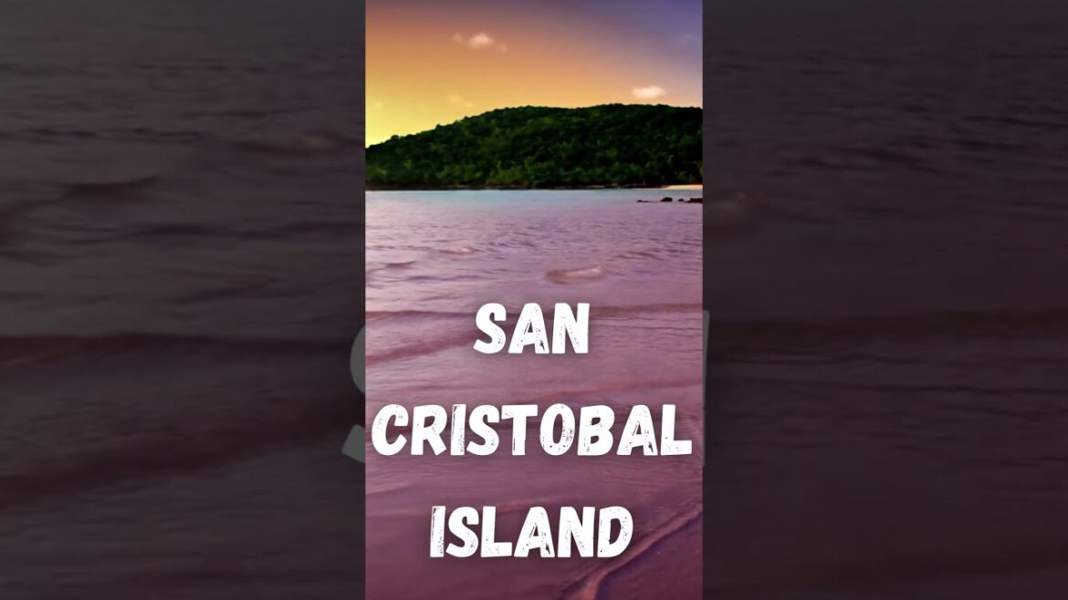 The Top Beaches:#ecuador #ecuadorian #southamerica #brazil #colombia #shorts #shortvideo #passport The Top Beaches:#ecuador #ecuadorian #southamerica #brazil #colombia #shorts #shortvideo #passport