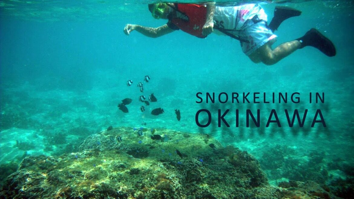 Snorkeling in Okinawa / Bise, 2011 シュノーケリング 沖縄