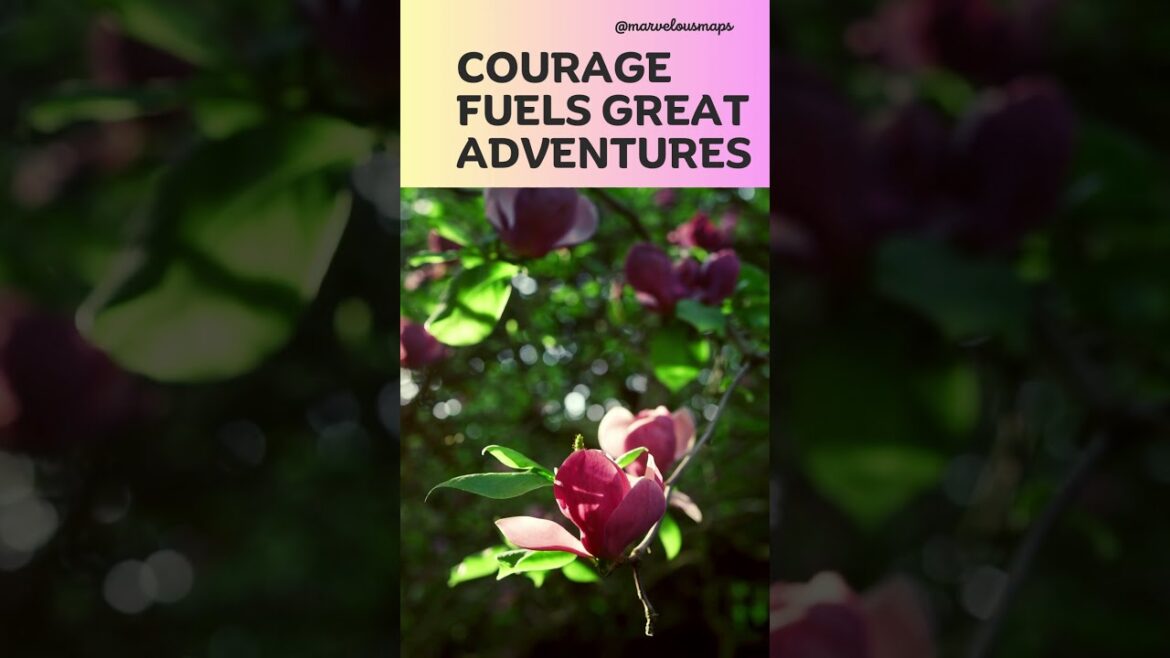 Japan travel | travel video | travel vlog | travel thirsty | travel video cinematic #shorts Japan travel | travel video | travel vlog | travel thirsty | travel video cinematic #shorts