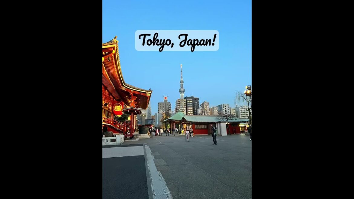 Our trip to Tokyo, Japan! 🌸⛩️🏯@impossiblethree #shorts