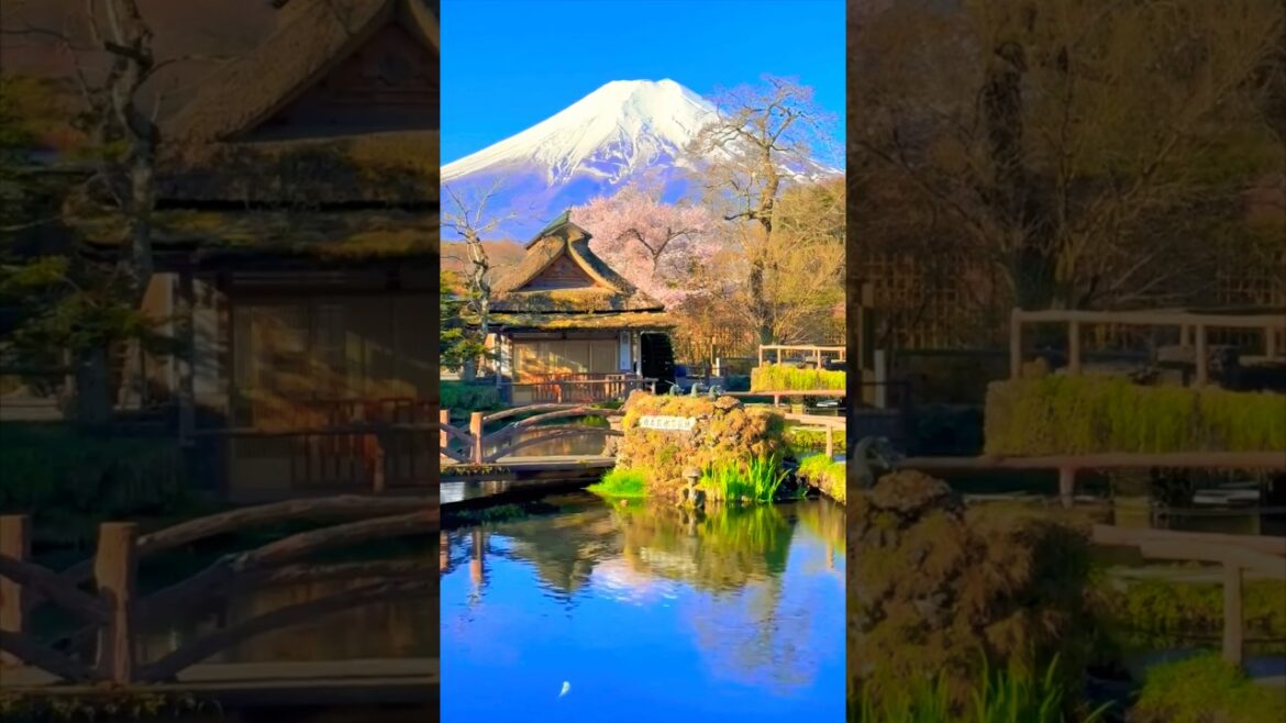 Jaw DROPPING Mt Fuji #shorts #japan #tokyo