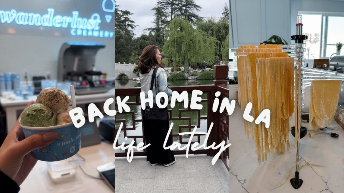 let’s catch up! 🍵✨ the future of my channel, life lately in LA, Huntington Library | life in LA vlog