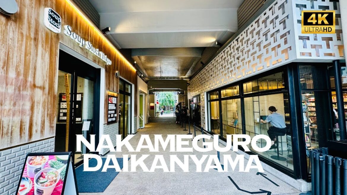 [4K] NAKAMEGURO→DAIKANYAMA in Tokyo 🐧 Nonstop Walking Tour / 中目黒→代官山 東京 散歩