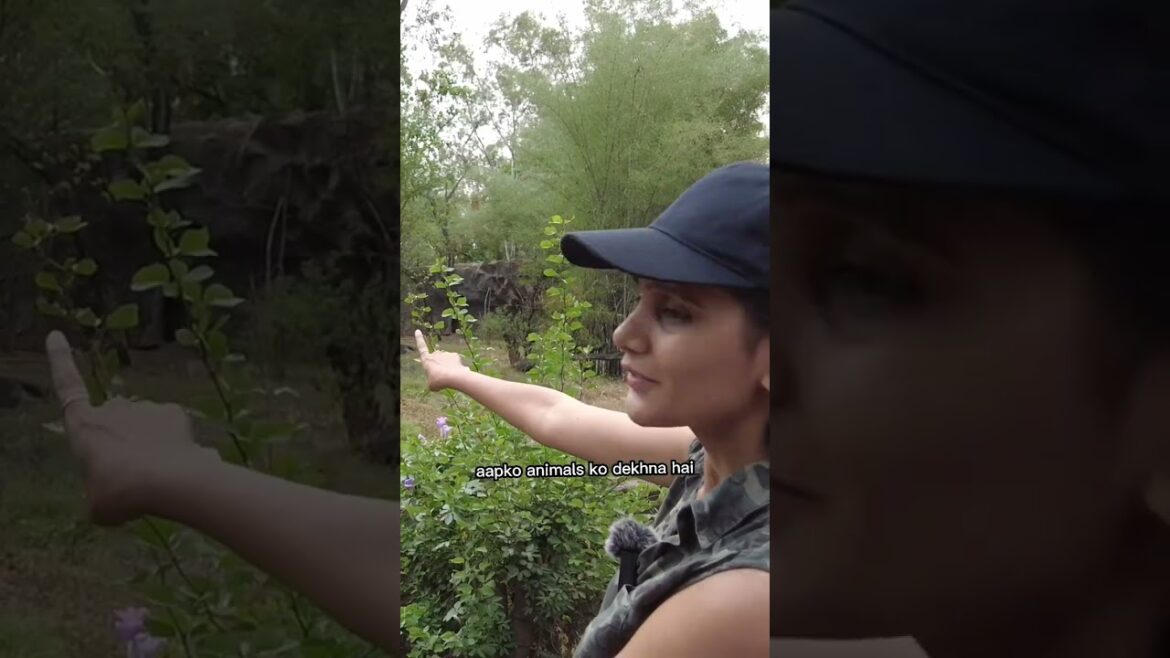 Did you know this about #zoo #katraj #pune #trending #watchtillend #chalabhurr Did you know this about #zoo #katraj #pune #trending #watchtillend #chalabhurr