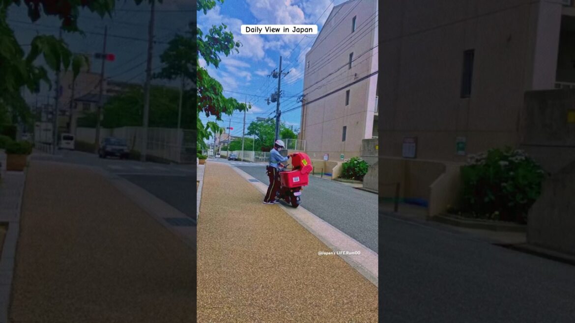 Japan #kobe #people #dailyvlog #জাপান #life #train #日本 #kobecity #japan