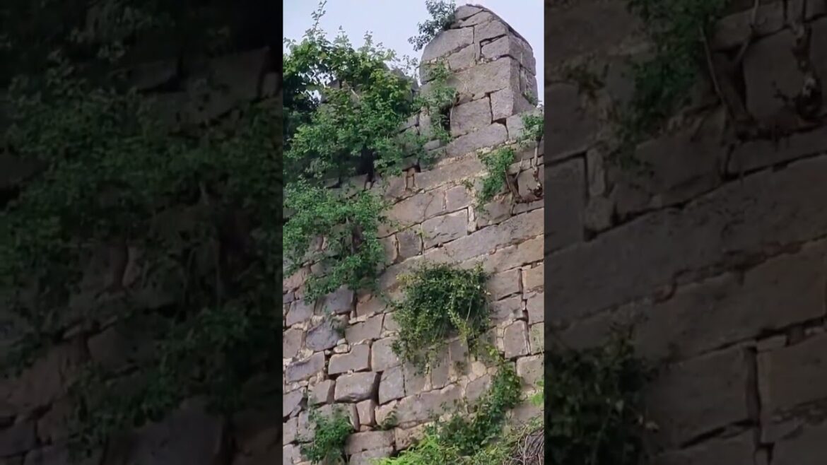 ONE DAY TRIP FROM HYDERABAD #shorts #ytshorts #trending #viral