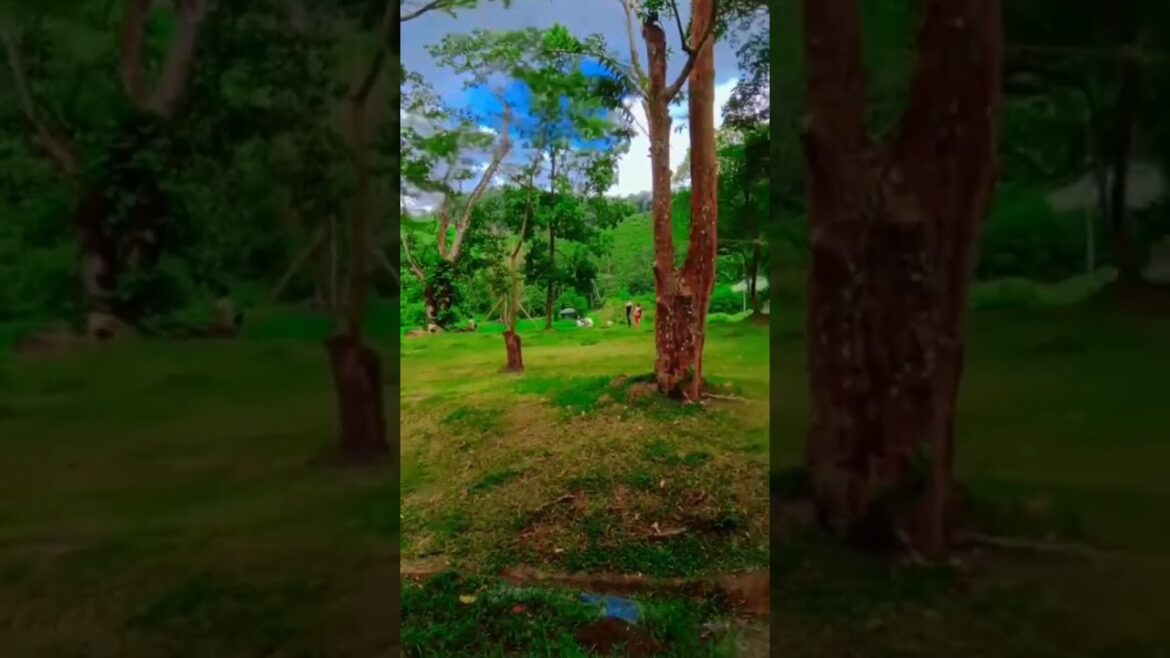 #shorts | wonderful travel places seethawaka 🤩😲 | travel vlog | #youtubeshorts #short