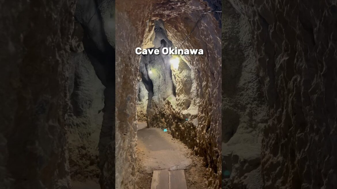 Cave Okinawa | 沖繩鐘乳石洞 #okinawa#japan#travel