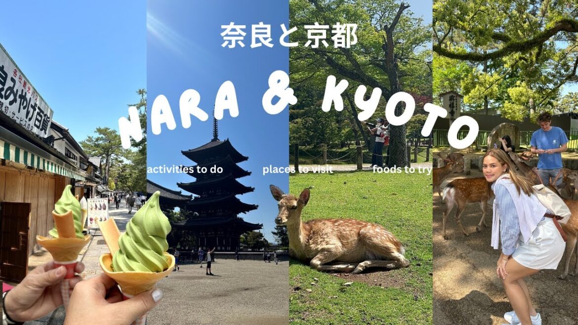 Exploring Nara & Kyoto Japan π―π΅ & Cup Noodles Museum | Ariela Vicente Exploring Nara & Kyoto Japan π―π΅ & Cup Noodles Museum | Ariela Vicente