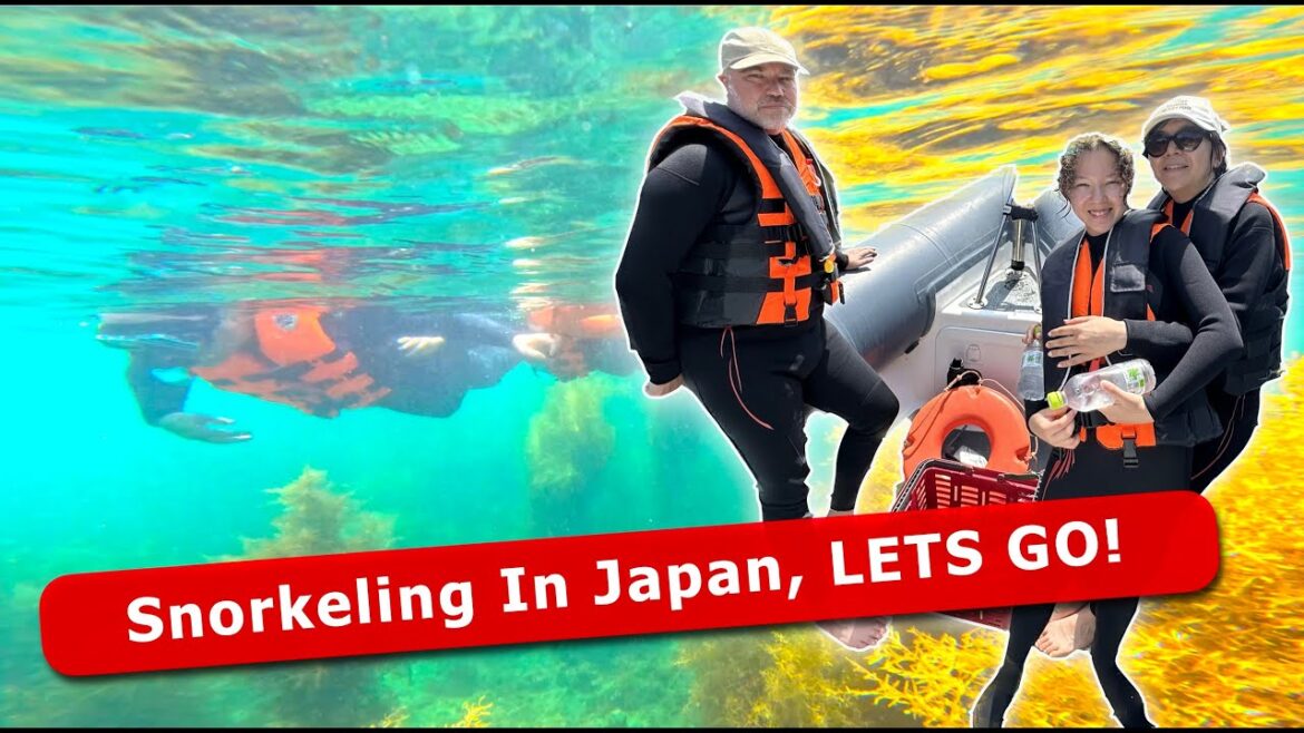 Amazing Snorkeling in Katsuura Chiba Japan Wow its stunning