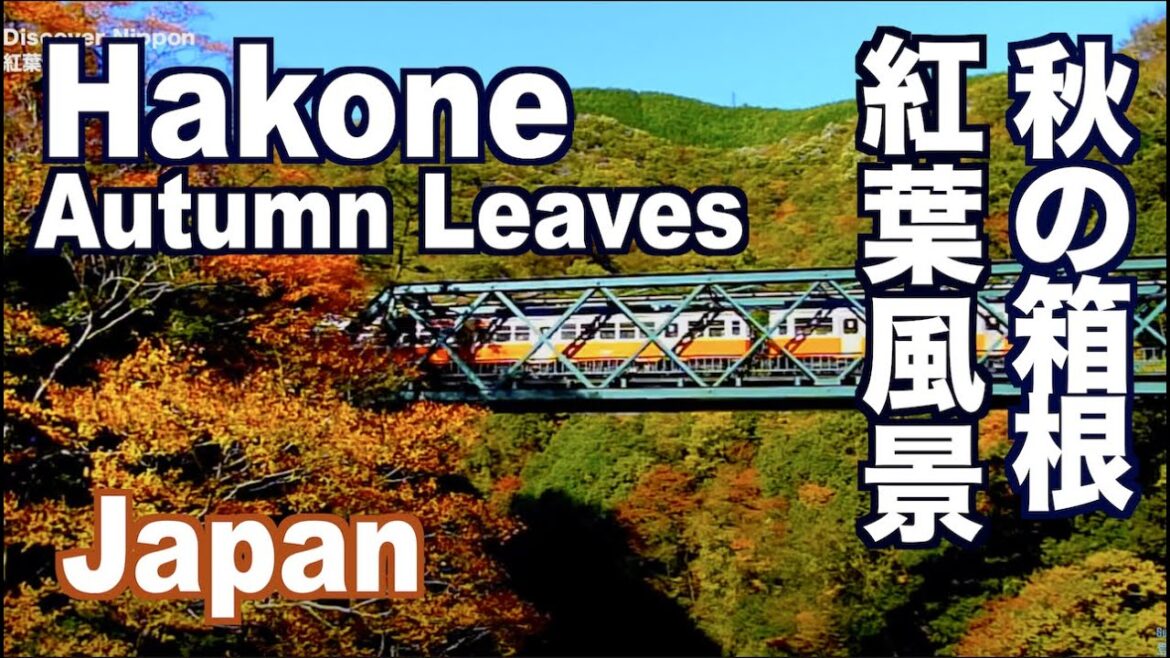 秋の箱根の紅葉 Autumn Leaves in Hakone 観光 旅行 長安寺 芦ノ湖 登山電車 箱根美術館 紅葉便り 日本の紅葉 Discover Nippon 山のホテル 秋の箱根の紅葉 Autumn Leaves in Hakone 観光 旅行 長安寺 芦ノ湖 登山電車 箱根美術館 紅葉便り 日本の紅葉 Discover Nippon 山のホテル