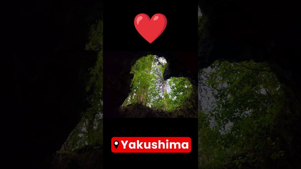 Japan’s Secret FairyTale Island You NEED To Visit Japan's Secret FairyTale Island You NEED To Visit