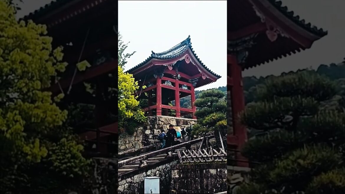 Kiyomizudera, Kyoto, Japan ⛩️ #Shorts