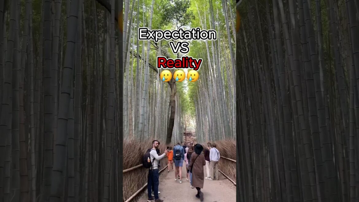 Expectations VS Reality - Japan Kyoto Arashiyama Bamboo Forest
