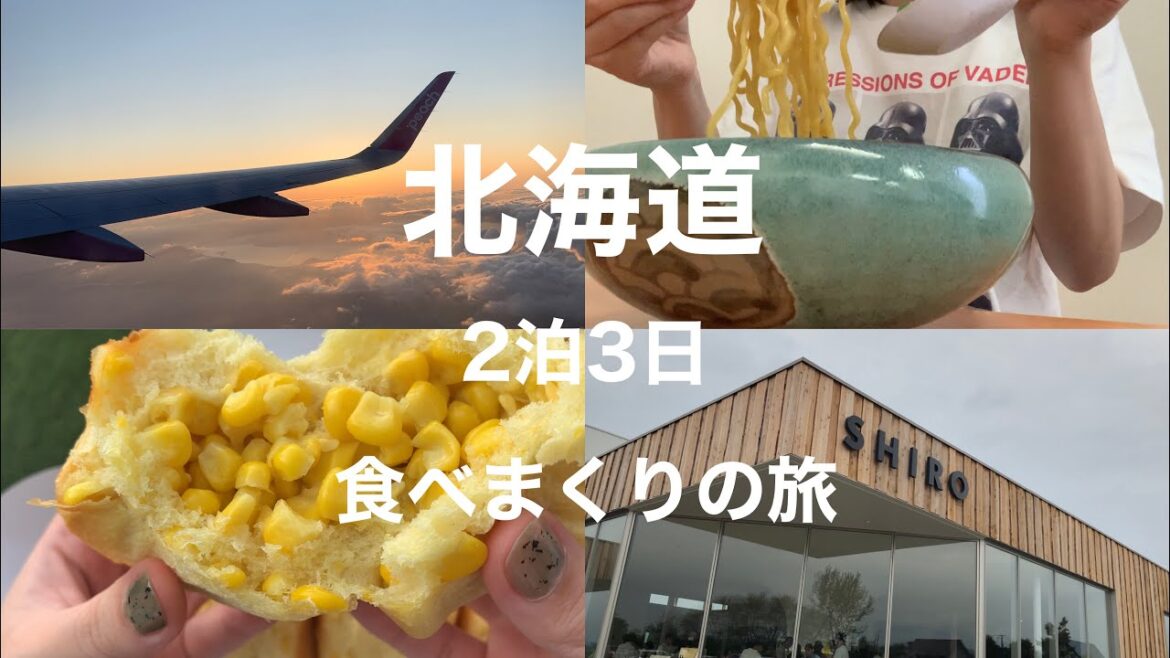 北海道)2泊3日の北海道旅行！めちゃくちゃ食べて楽しんだ旅VLOG  #北海道土産 #shiro #新千歳空港