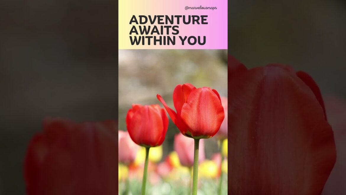 japan travel | travel video |travel vlog | travel thirsty #shorts