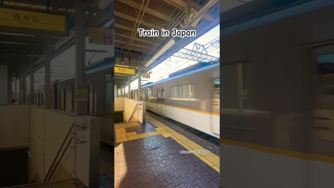 Train in Japan #日本 #train #japan #travel #railway #asia #জাপান #railcrossing #shorts