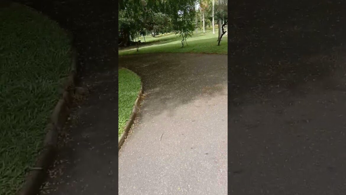 #shorts| wonderful travel place | sri lanka travel vlog #short #shorts| wonderful travel place | sri lanka travel vlog #short