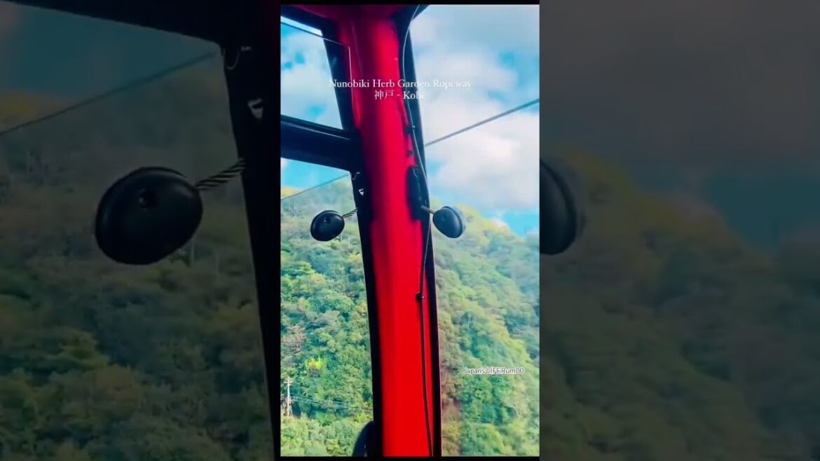 Ropeway to Mountains Herb Garden #日本 #ropeway #japan #view #herbgarden  #kobe #shorts