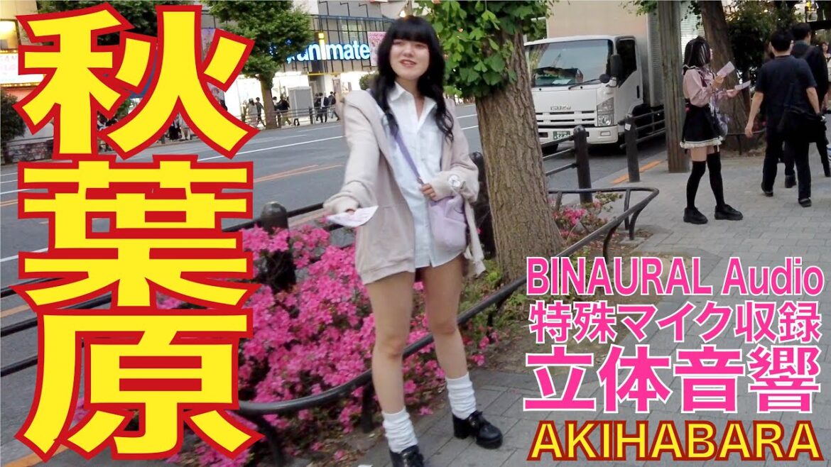 【4K/立体音響】秋葉原 電気街 20230526 akihabara tokyo night walk