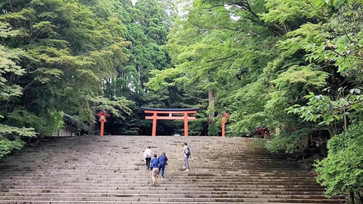 【MIR 的日常角度】🎒旅遊歷🎒霧島神宮(Kirishima Shrine) 【MIR 的日常角度】🎒旅遊歷🎒霧島神宮(Kirishima Shrine)