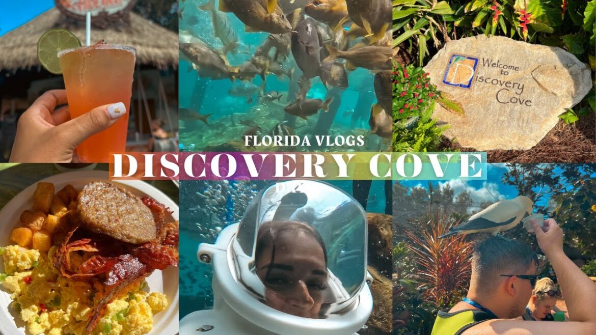 DISCOVERY COVE | SEA VENTURE EXPERIENCE | DAY 11 | FLORIDA 2023