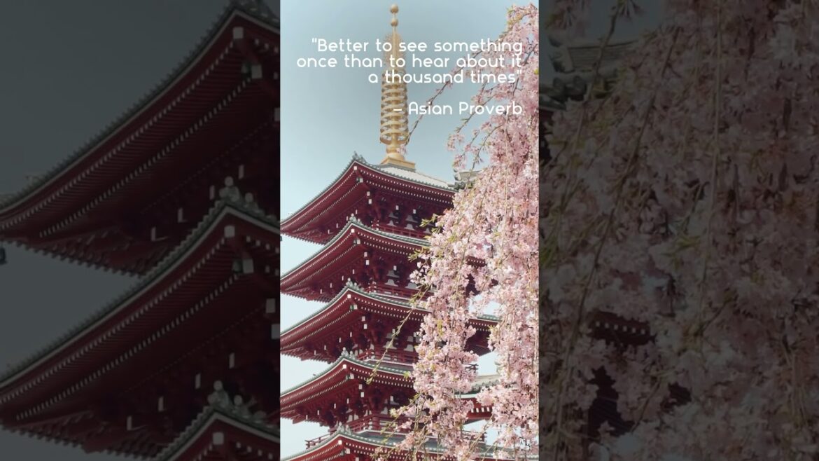 Travel is the only thing you can buy that makes you richer.