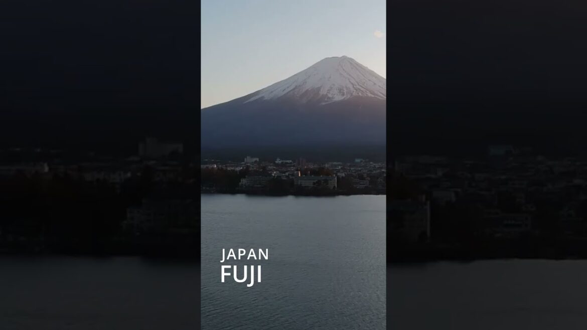 Fuji Fuji