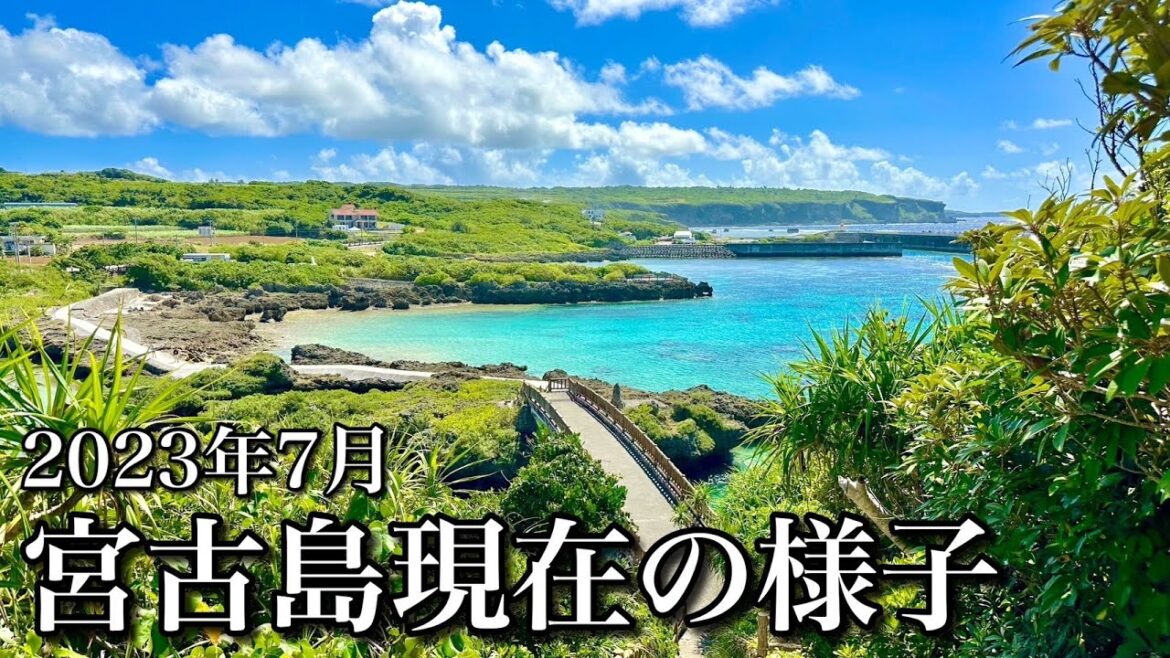 【夏休み】沖縄・宮古島|2023年7月の様子をお届けします! 【夏休み】沖縄・宮古島|2023年7月の様子をお届けします!