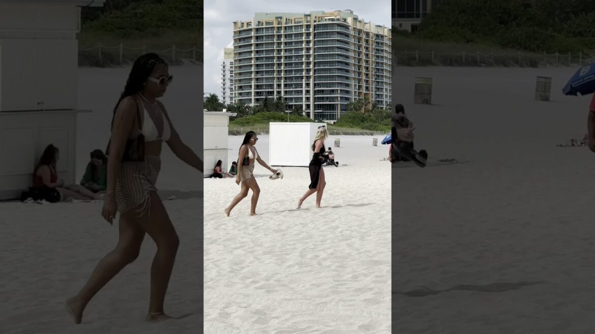 🇺🇸 Sun bath at Miami beach 🇺🇸 Sun bath at Miami beach