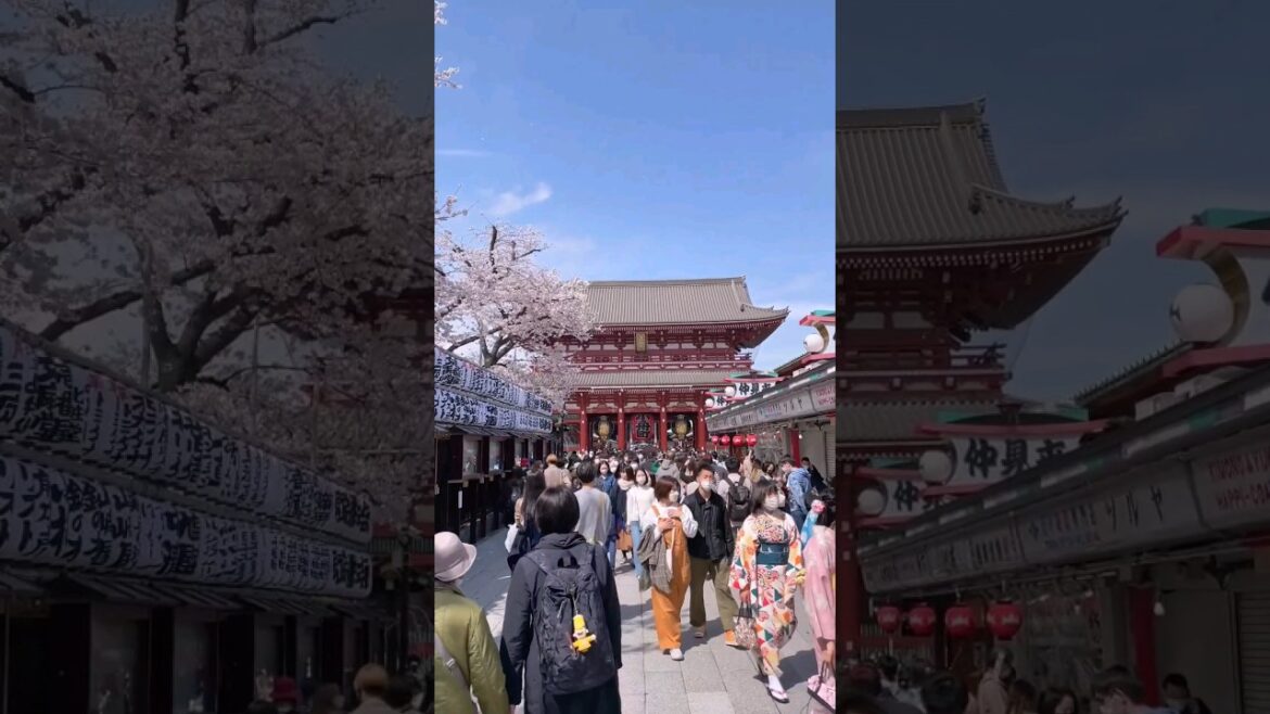 Tokyo Japan | Tokyo Vlog | Tokyo tourist places | Tokyo Tour | Tokyo near by places #shorts #tokyo