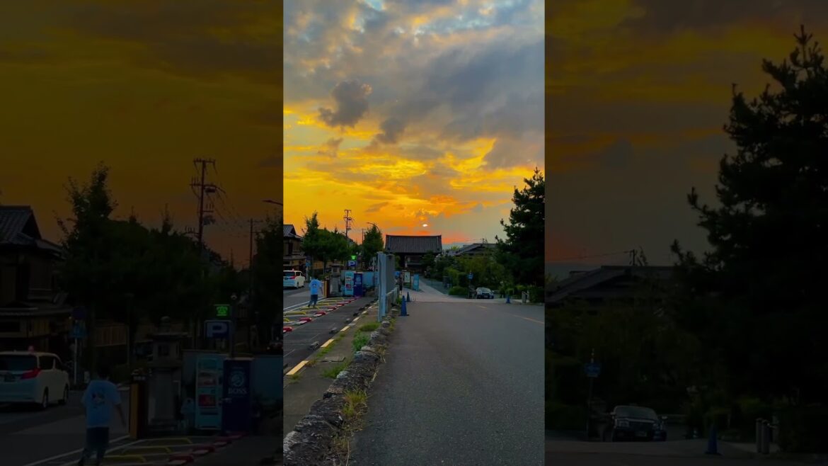 ( こんばんは ) Konbanwa | Torii Whispers #japantravel  #japanvlog  #japan #kyoto  #tokyo  #japanlife