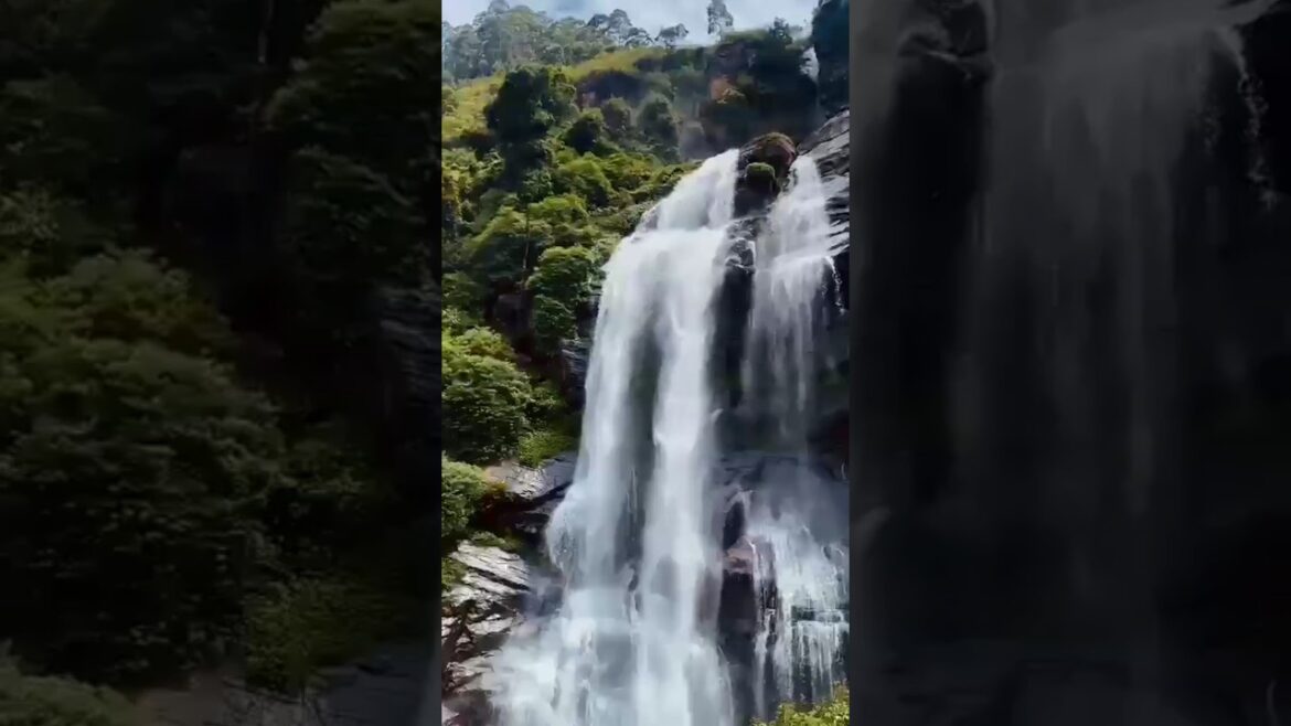 #shorts | sri lanka travel vlog  | wonderful travel places | ella #youtubeshorts #short