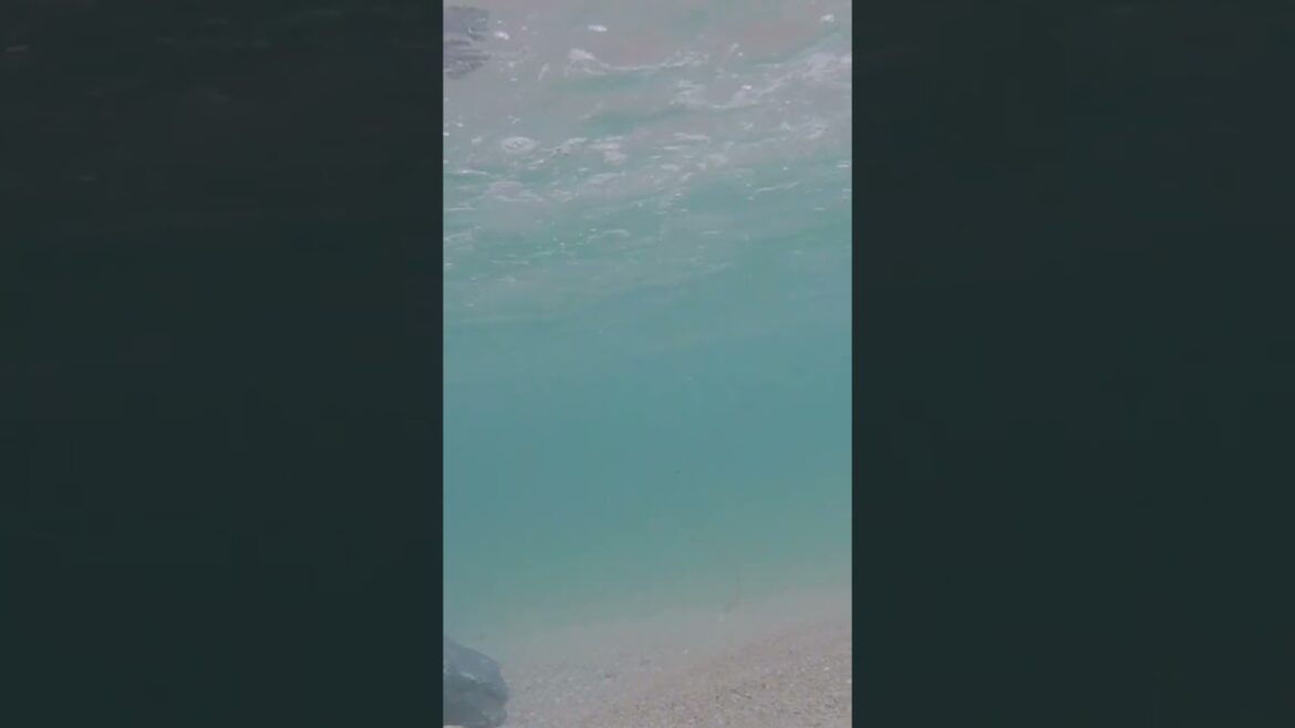 Relax #lifestyle #travel #trending #adventure #sahm #art #japan #okinawa #kawaii #beach #beachvibes Relax #lifestyle #travel #trending #adventure #sahm #art #japan #okinawa #kawaii #beach #beachvibes