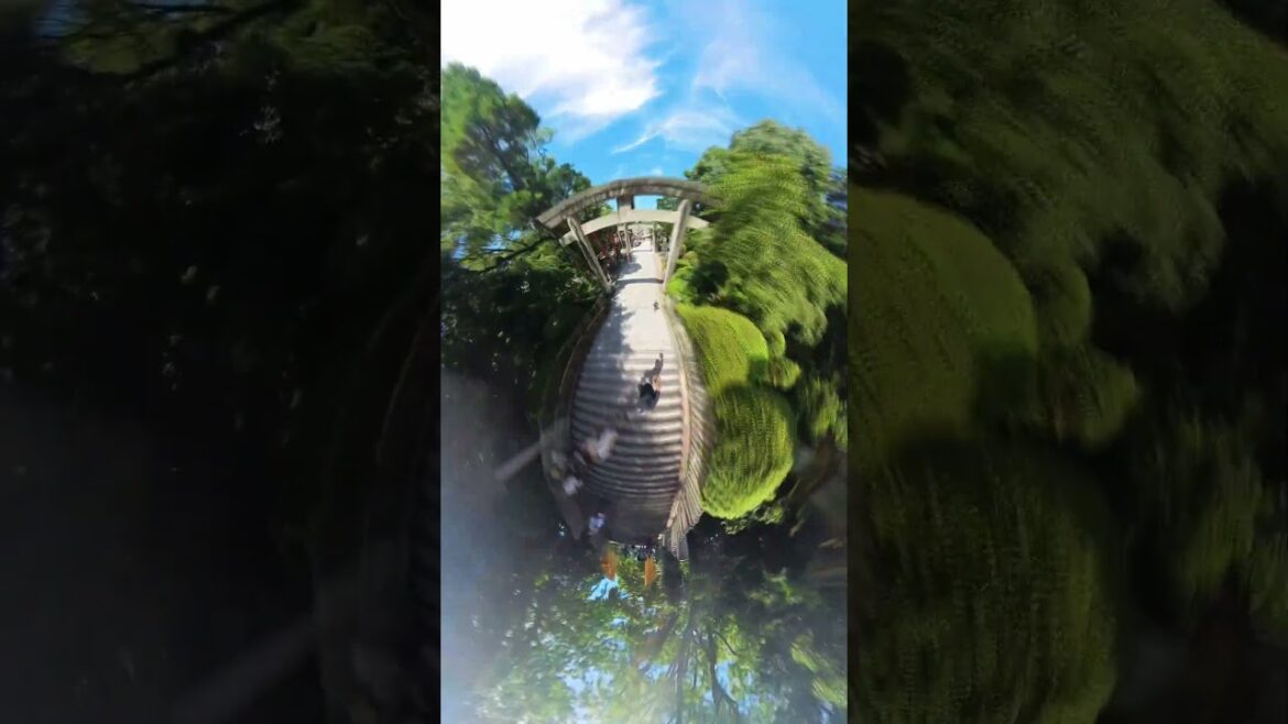 福岡観光 宮地嶽神社（みやじだけじんじゃ）に行ってみた♪ #shorts