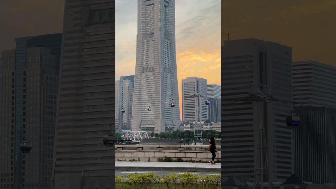 In order to write about life first you must live it. | Yokohama