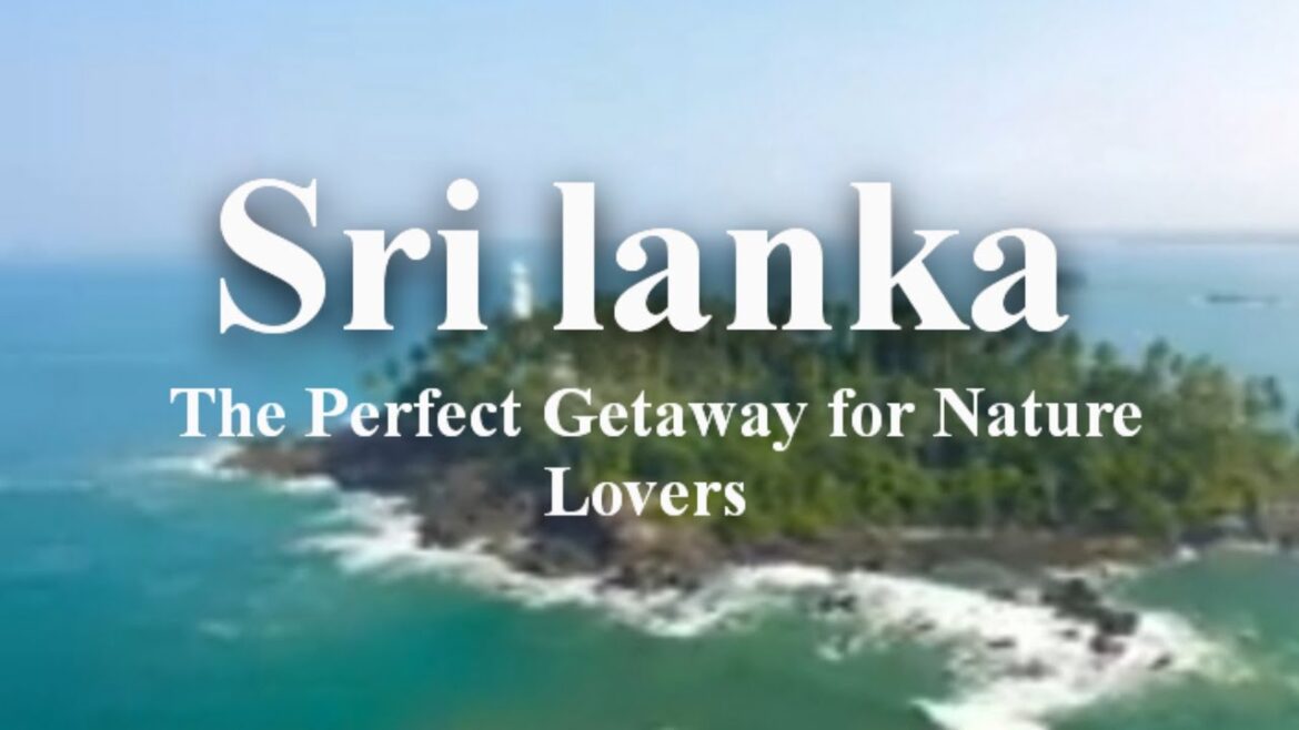 The Perfect Getaway for Nature LoversSri Lanka | EXPLORE THE WORLD The Perfect Getaway for Nature LoversSri Lanka | EXPLORE THE WORLD