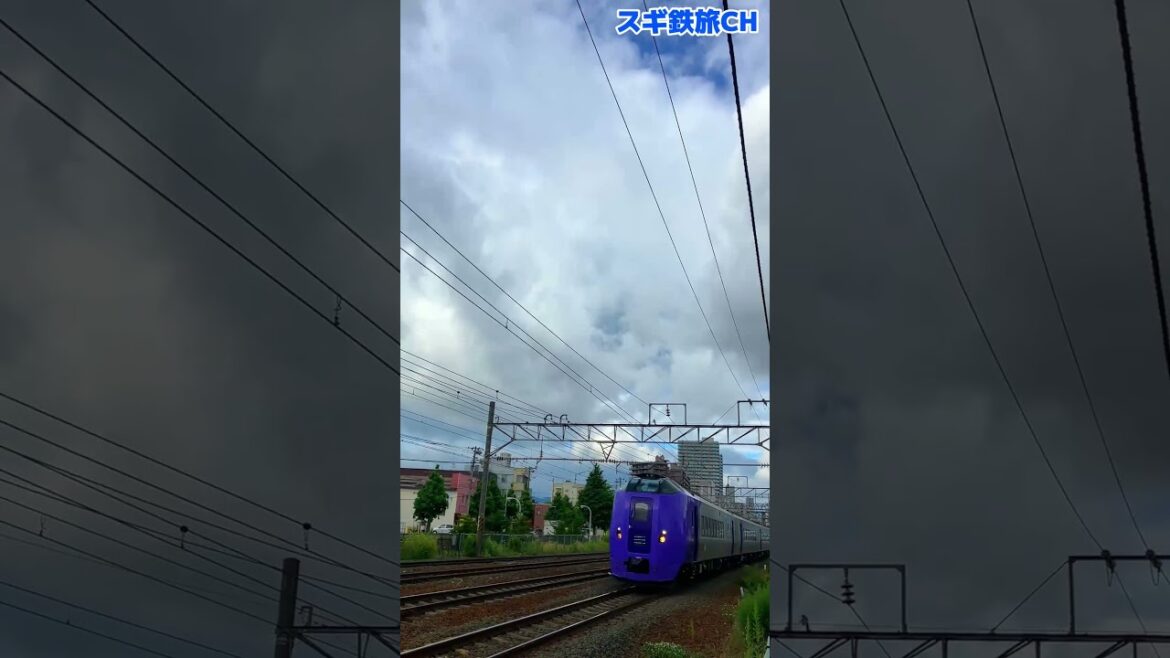 高速通過【フラノラベンダーエクスプレス　キハ261系5000番台】JR北海道　2023年7月撮影