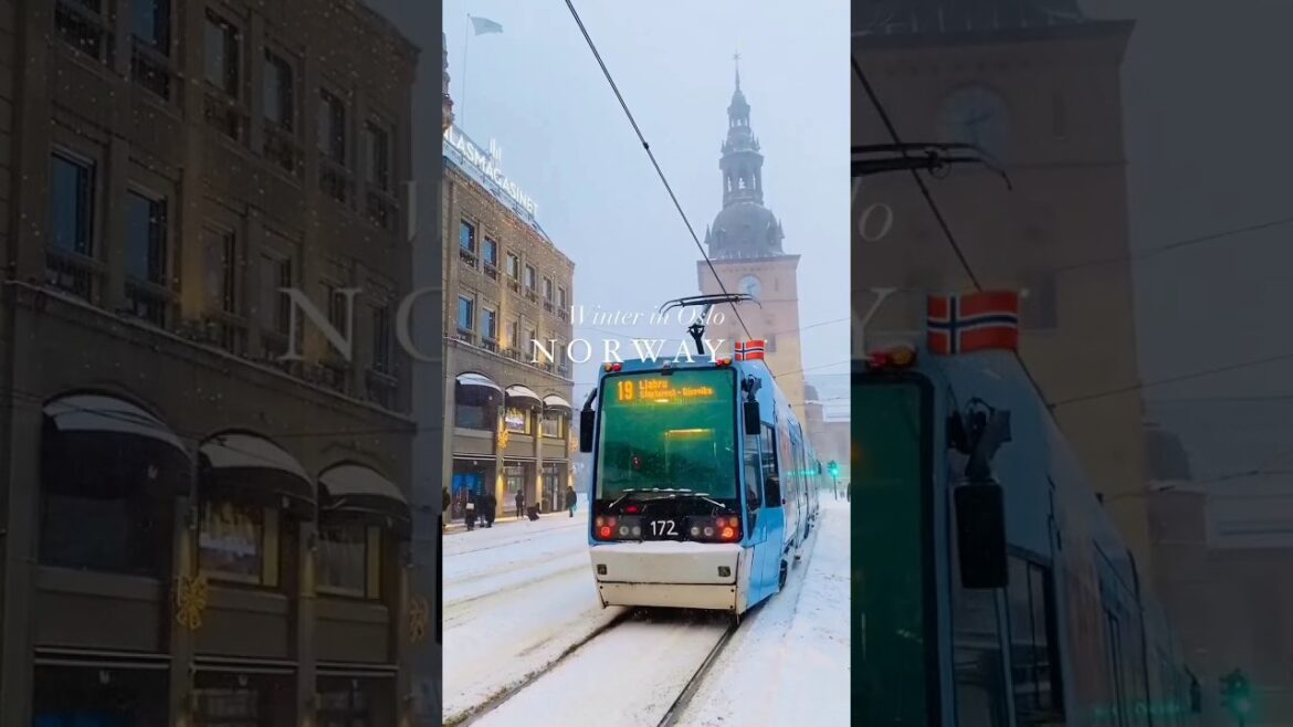 norway oslo snowfall ||norway oslo city tour winter #snowfall #oslo #norway #shorts