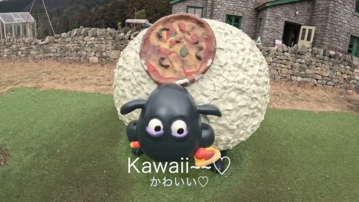 阪九フェリー（新門司〜神戸）後編　Hankyu ferry （Shinmoji〜Kobe）