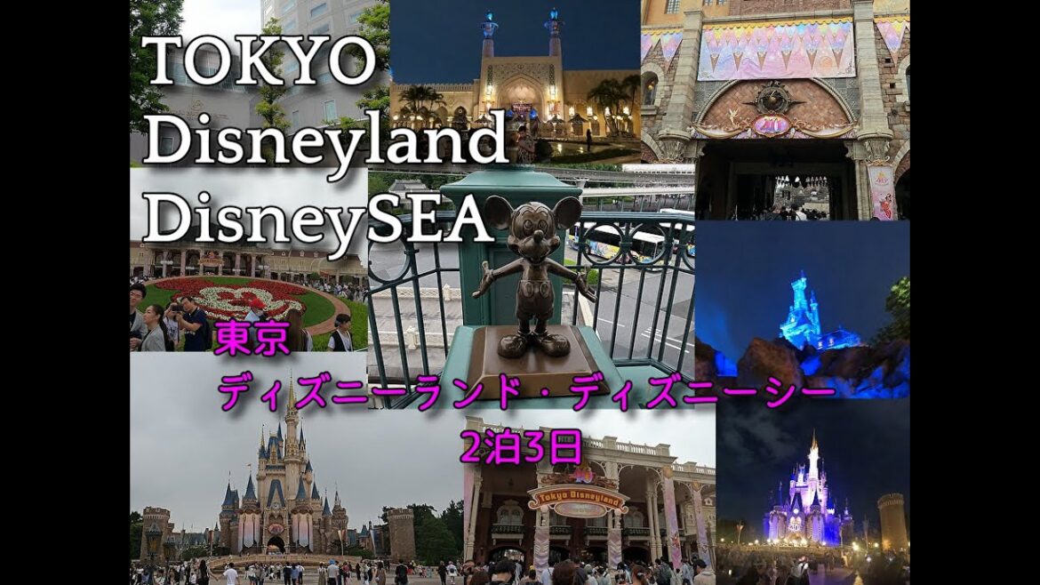 ディズニーランド・ディズニーシー 2泊3日旅行 TOKYO Disneyland DisneySEA