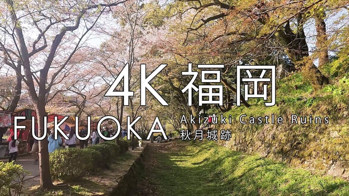4K Japan City Walk 街歩き -  Akizuki Castle Ruins (秋月城跡) Amidst Cherry Blossoms in Fukuoka (福岡) - 2023