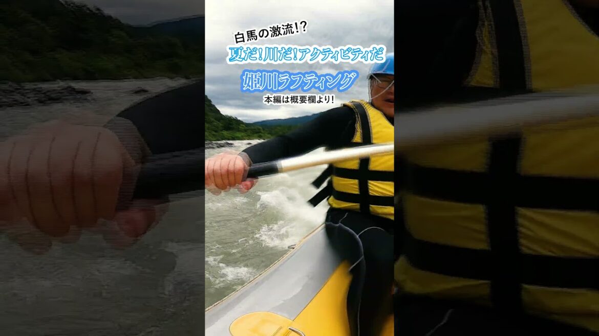 【ナガトリ】雨でも楽しめる!姫川ラフティング #shorts #長野県 #白馬 #川遊び #ラフティング 【ナガトリ】雨でも楽しめる!姫川ラフティング #shorts #長野県 #白馬 #川遊び #ラフティング