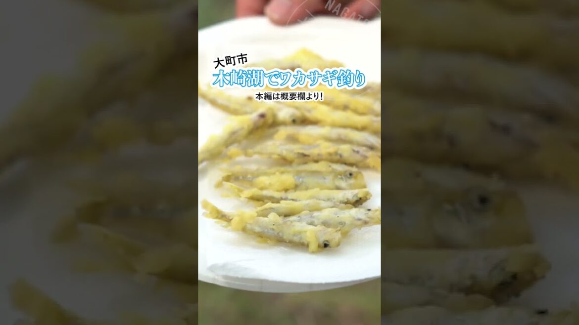 【ナガトリ】大町で星野文香が爆釣！夏の木崎湖ワカサギ釣り対決！ #shorts #長野県 #大町市 #木崎湖 #ワカサギ #星野文香