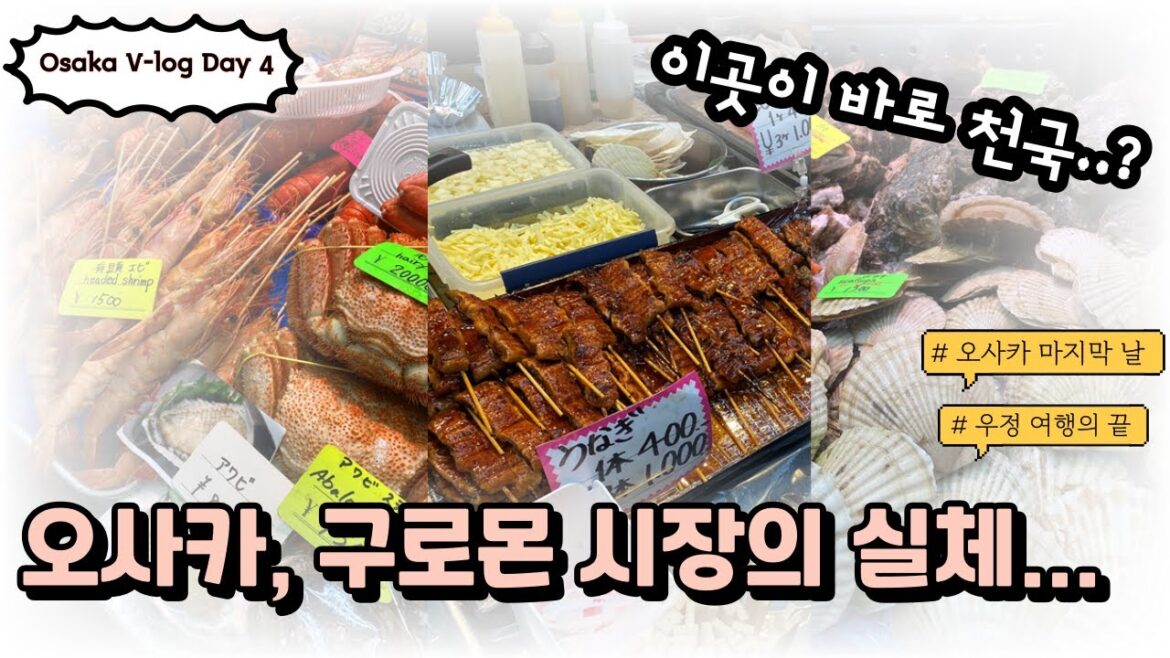 [ENG SUB] [Osaka V-log Day 4] 남자 둘의 좌충우돌 3박 4일 오사카 우정 여행 V-log #오사카 #오사카맛집 #오사카브이로그