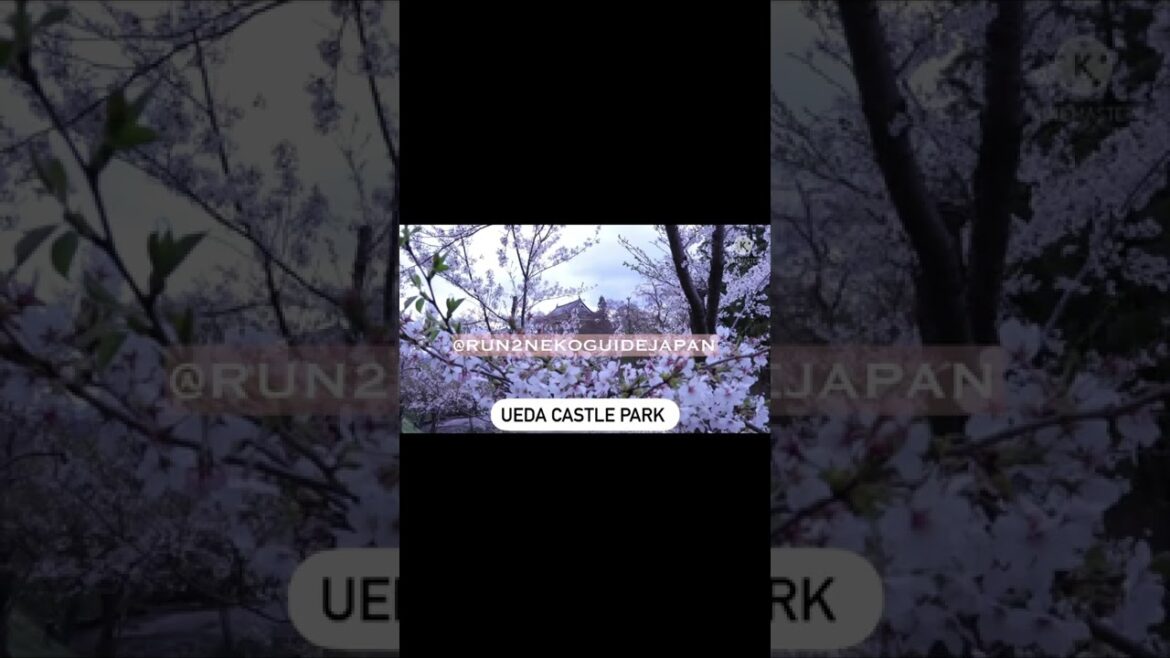 Come to Nagano, Japan if you dare 🤭